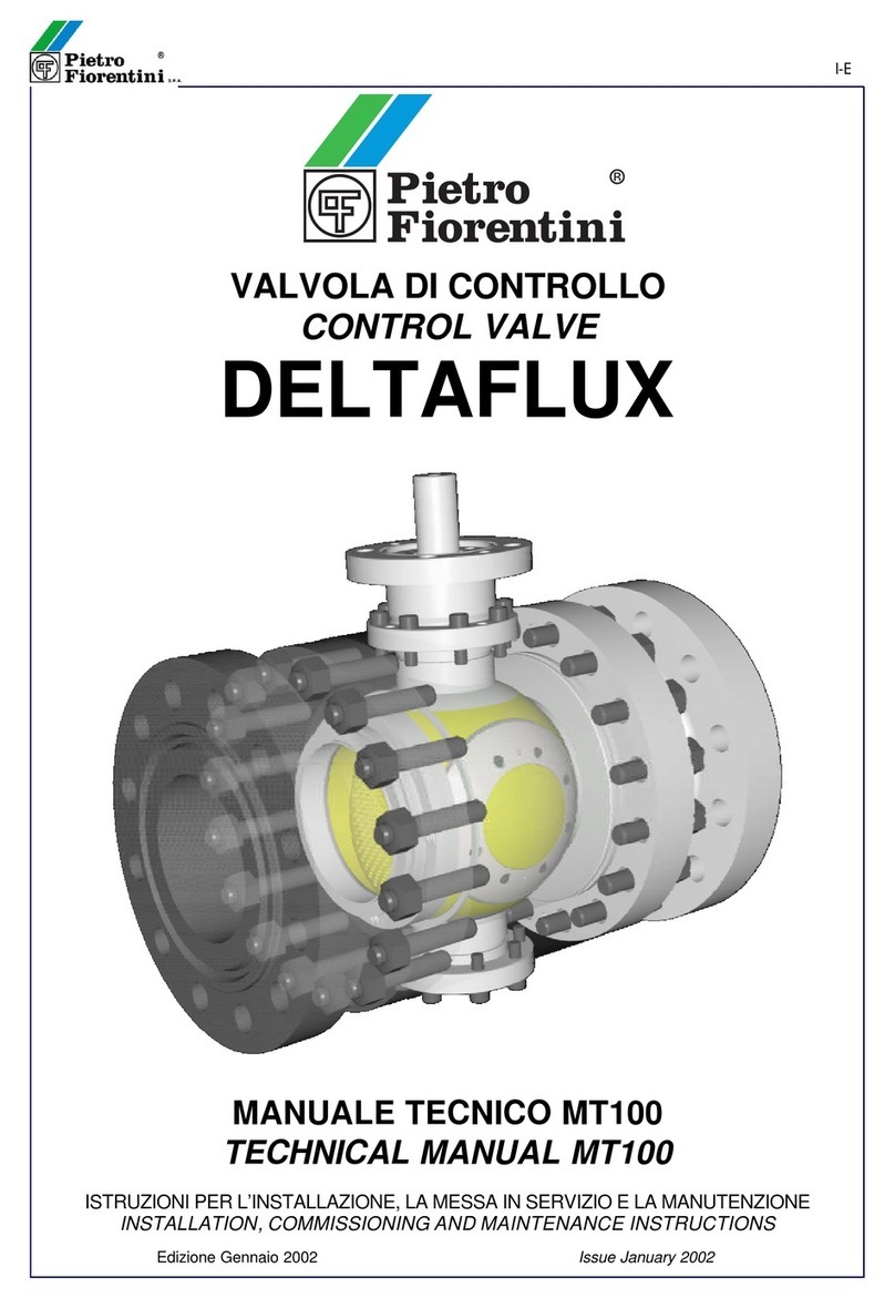 PIETRO FIORENTINI DELTAFLUX MT100 Technical manual