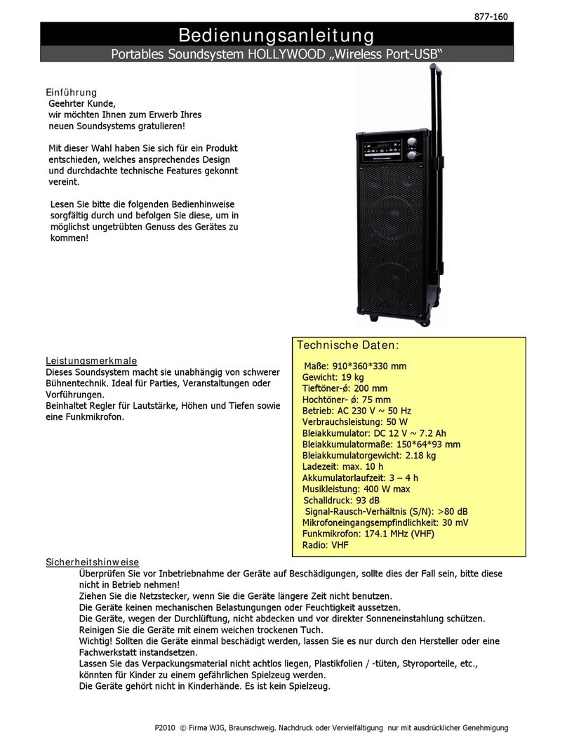 Hollywood Wireless Port-USB User manual