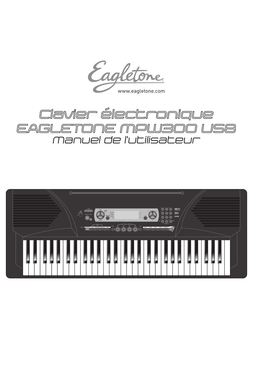 Eagletone MPW300 USB user manual