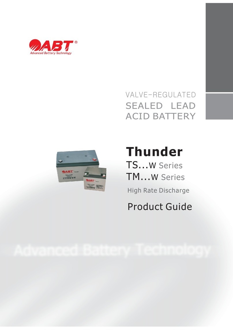 Abt TM W Series Product guide