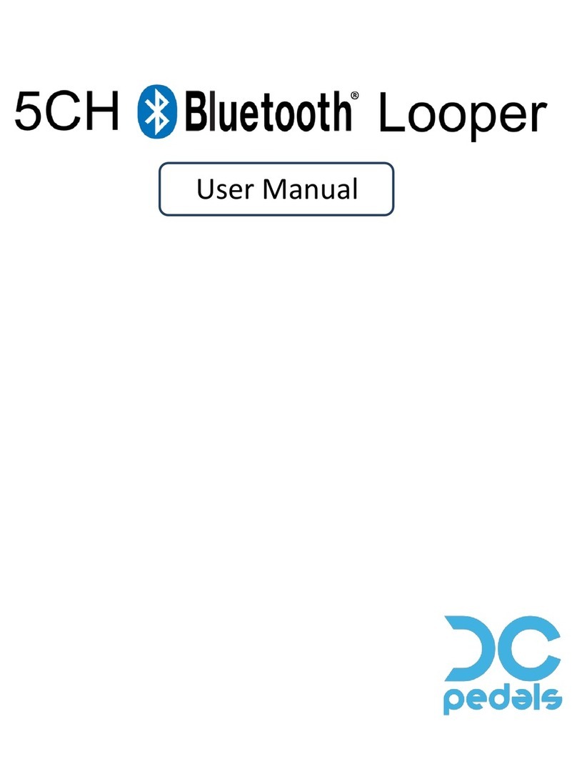 DC Pedals 5-Channel Bluetooth Looper user manual DC Pedals 5-Channel Bluetooth Looper user manual