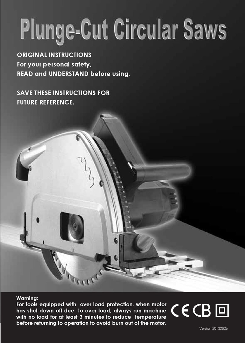 AGP DS2300 User manual