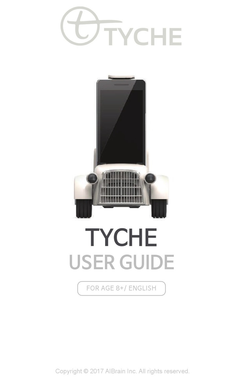 AIBrain Tyche user guide