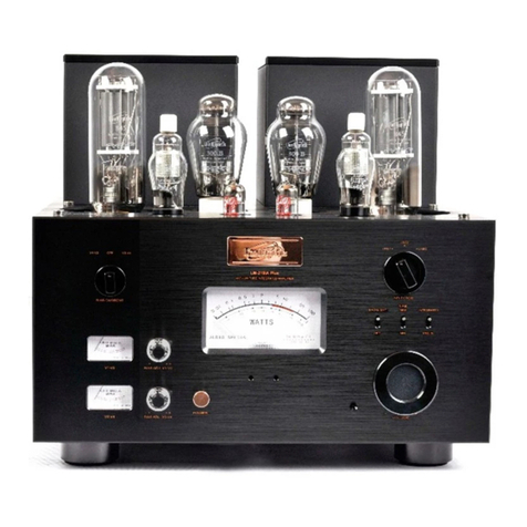 Line Magnetic LM-219IA manual