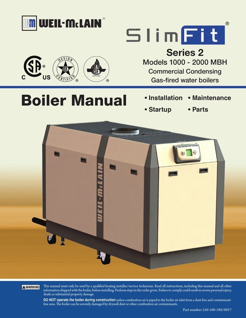 Weil-McLain HE (Series 2) manual