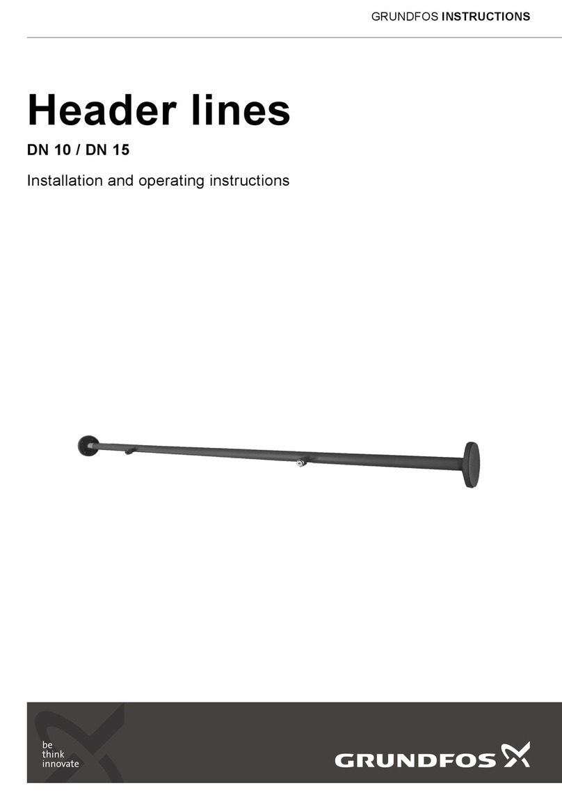 Grundfos DN 10 User manual