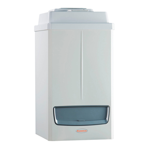 Immergas Victrix Pro 80 2ErP Instruction and warning book