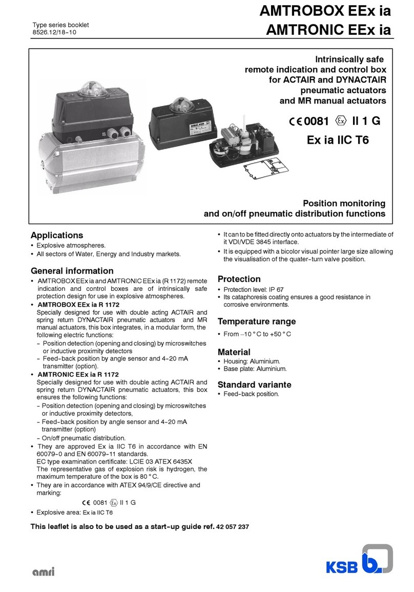 KSB AMTROBOX EEx ia General information