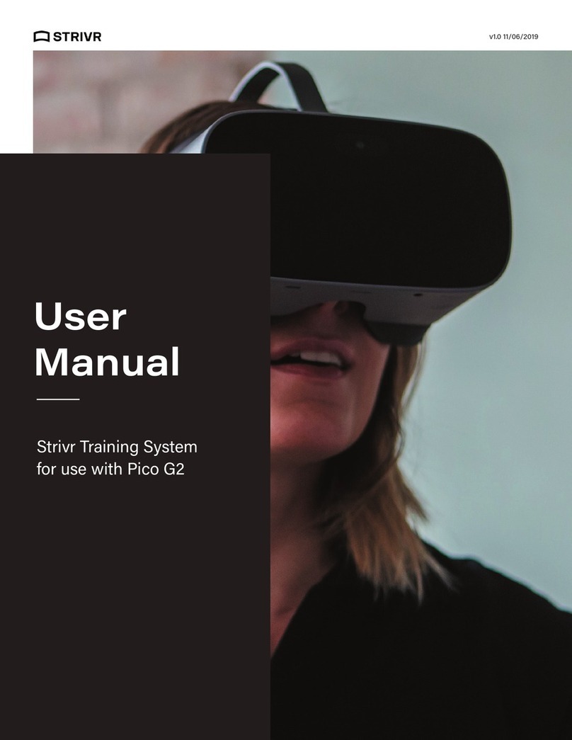 Stivr Pico G2 User manual