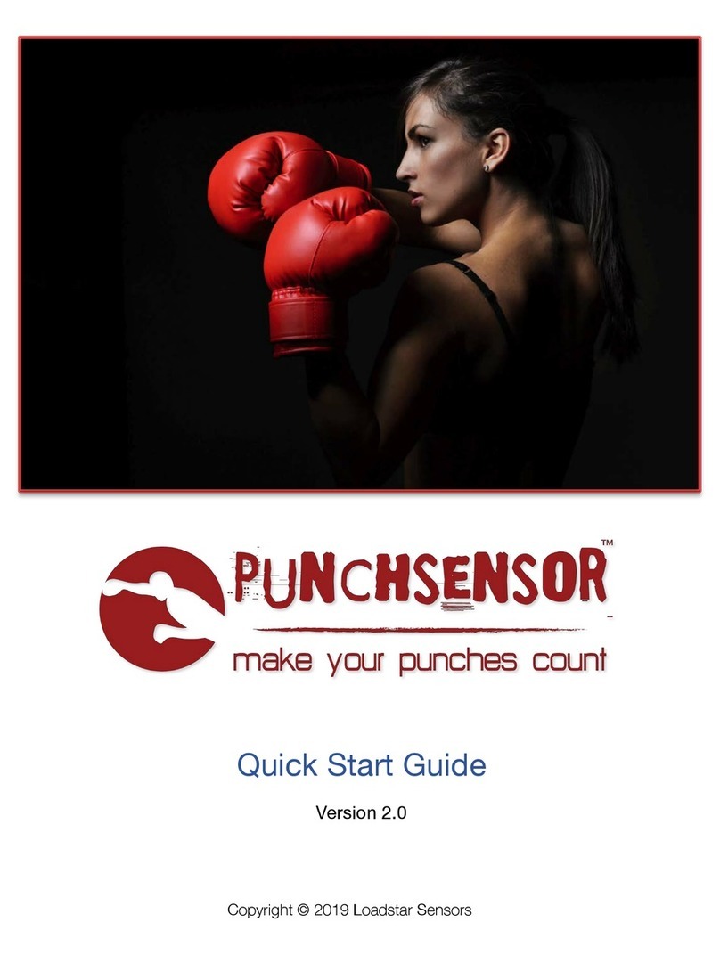 Loadstar Sensors Punchsensor User manual