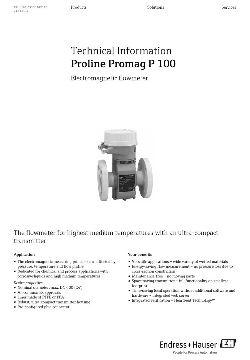 Endress+Hauser Proline Promag P 100 technical information