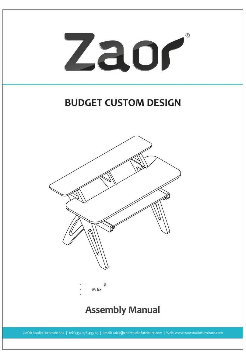 Zaor Yesk User manual