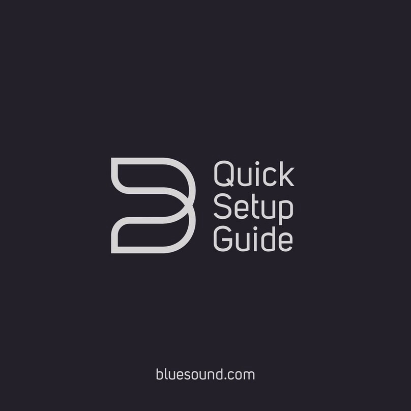 Bluesound N100 Quick setup guide