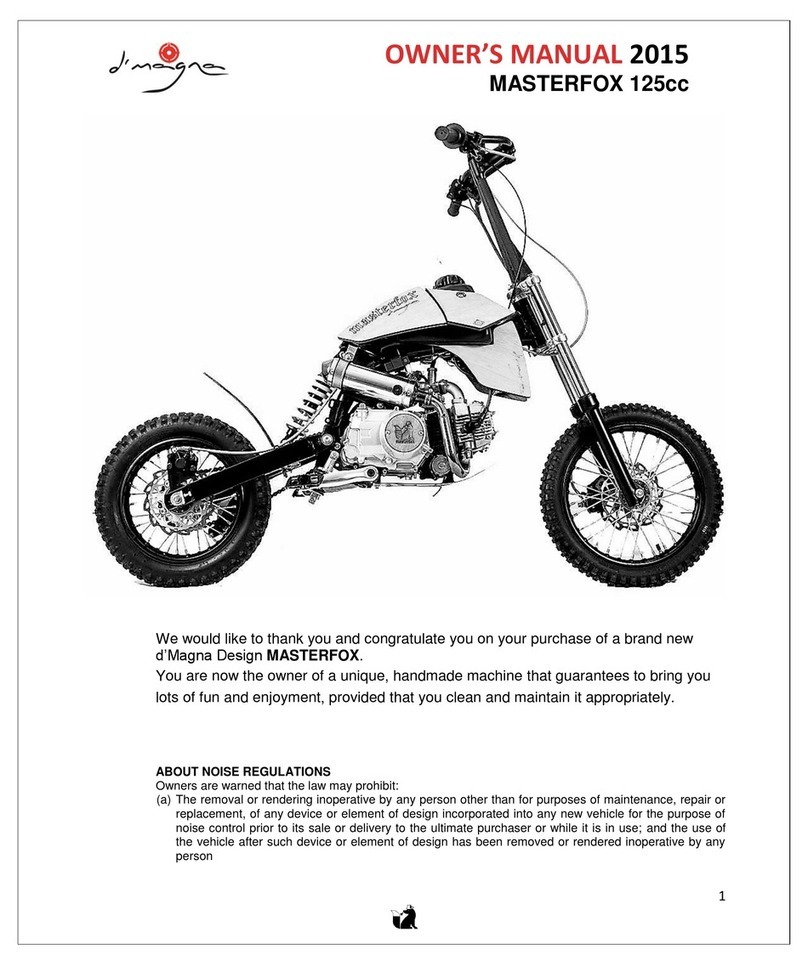 d'Magna MASTERFOX 125cc 2015 owner's manual