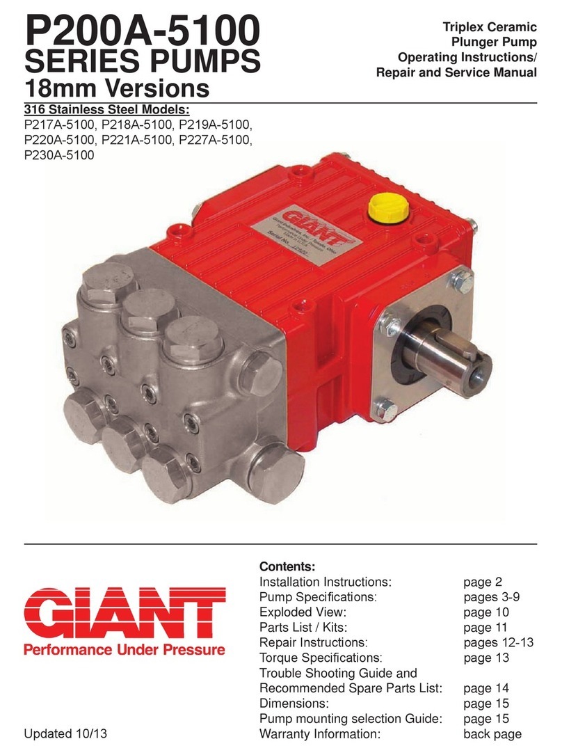 Giant P200A-5100 Series Repair and Operating instructions/ repair and service manual