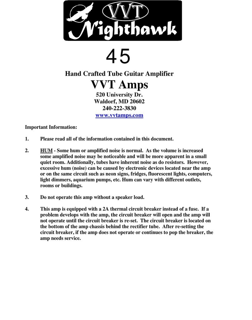 VVT AMPS Nighthawk 45 manual