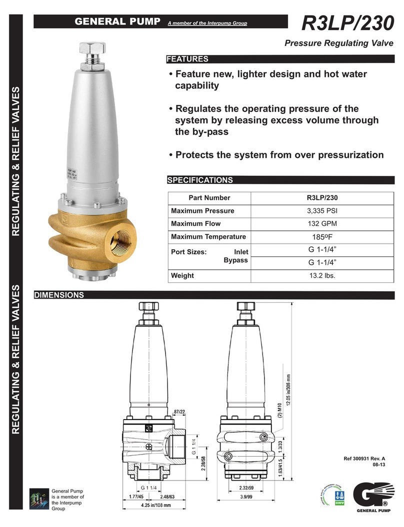 Interpump Group GENERAL PUMP R3LP/230 quick start guide