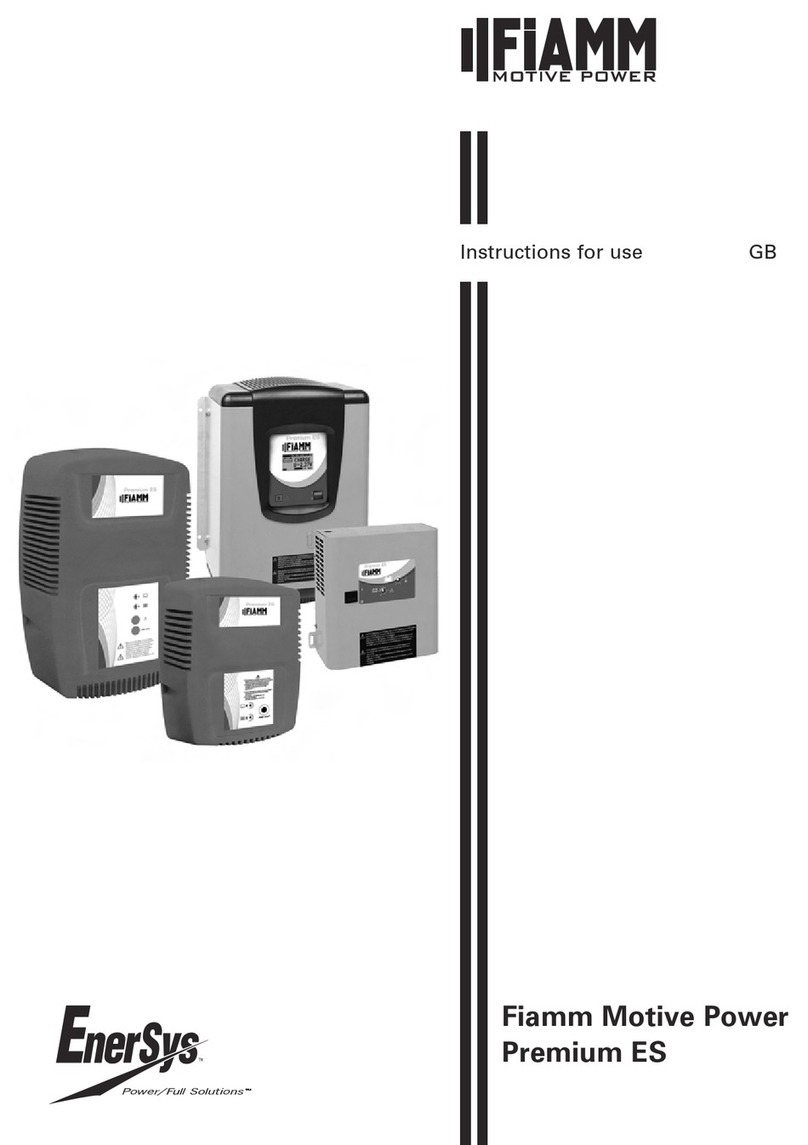 EnerSys Fiamm Motive Power Premium ES Series Instructions for use