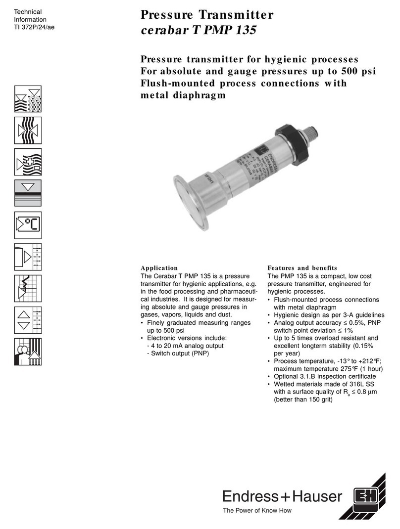 E+H Cerabar T PMP 135 technical information