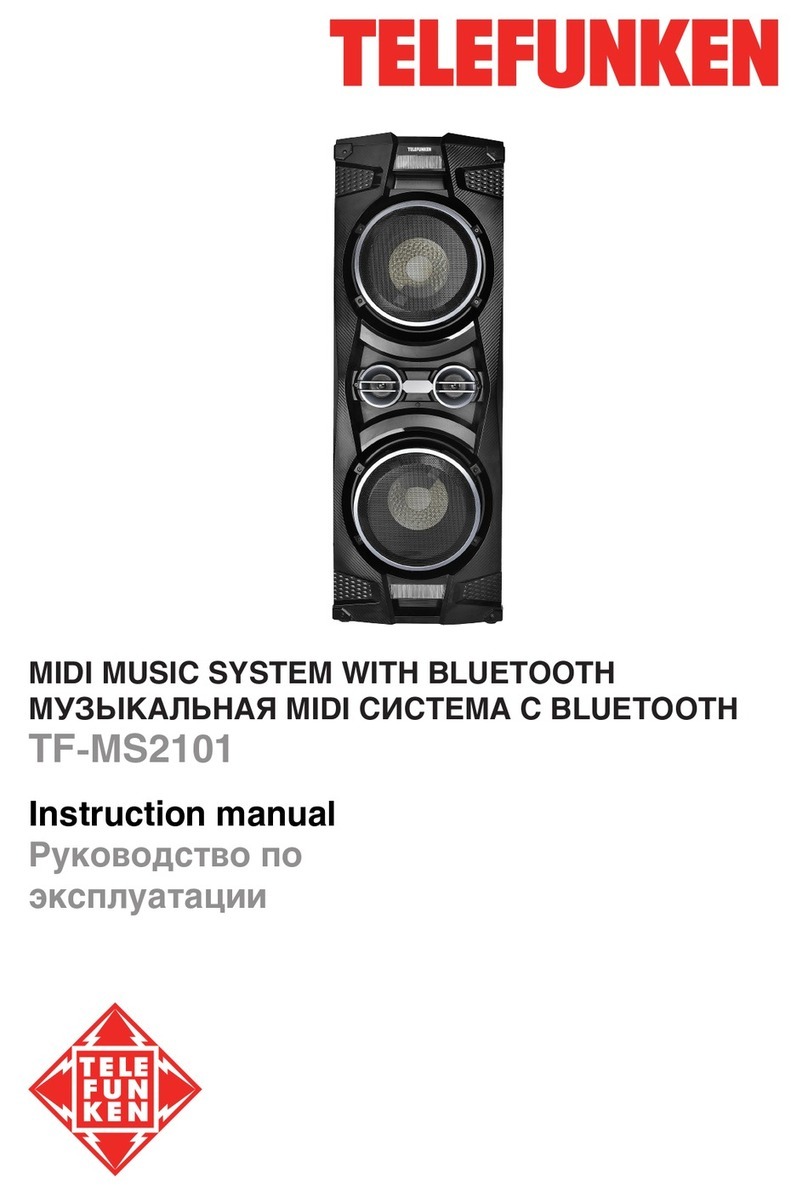 Telefunken TF-MS2101 instruction manual