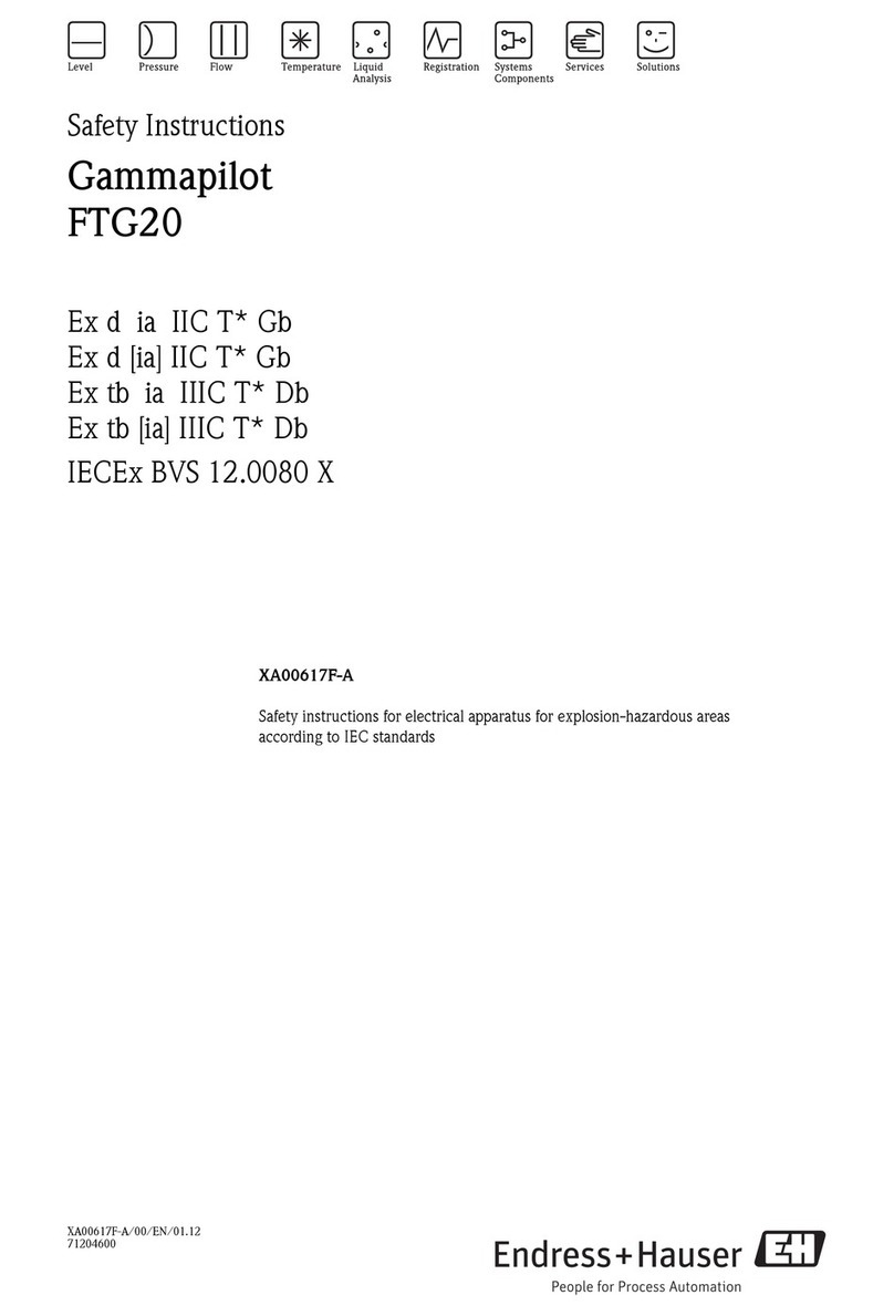 Endress+Hauser Gammapilot FTG20 Safety instructions