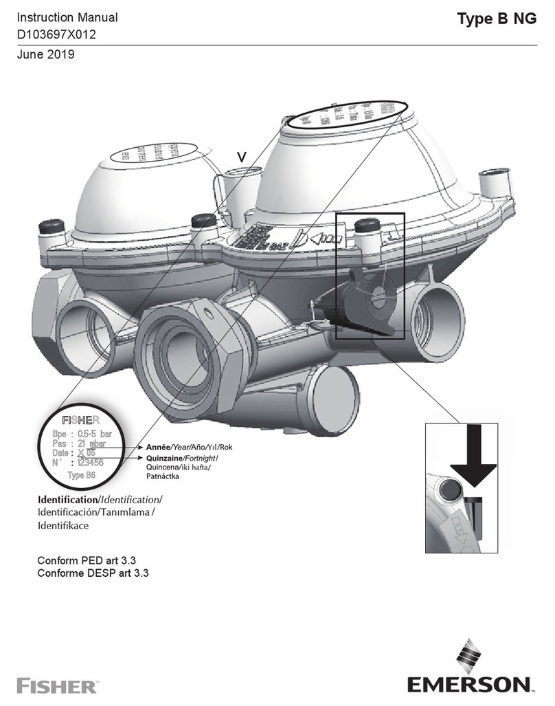 Emerson Fisher Type B NG User manual