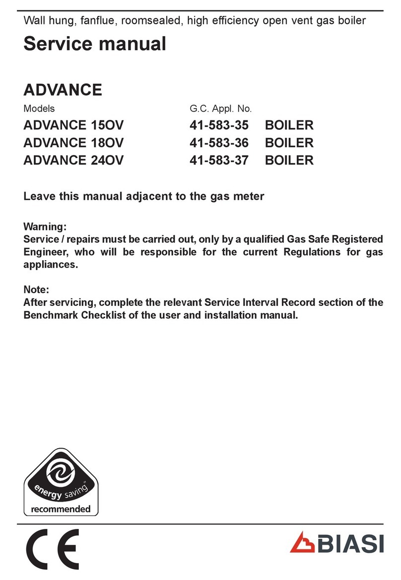 Biasi ADVANCE 15OV User manual Biasi ADVANCE 15OV User manual