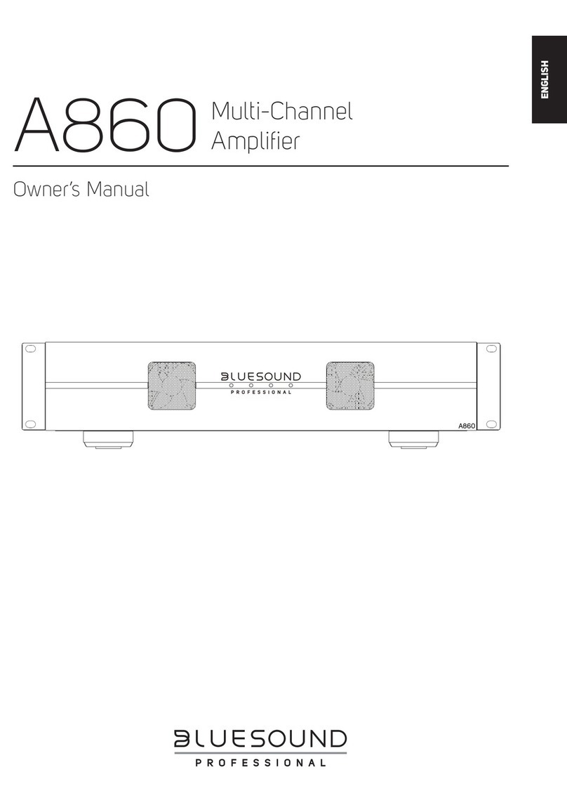 Bluesound A860 owner's manual