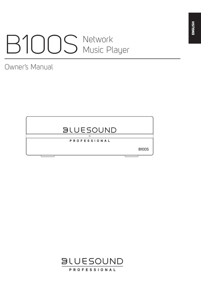 Bluesound B100S User manual