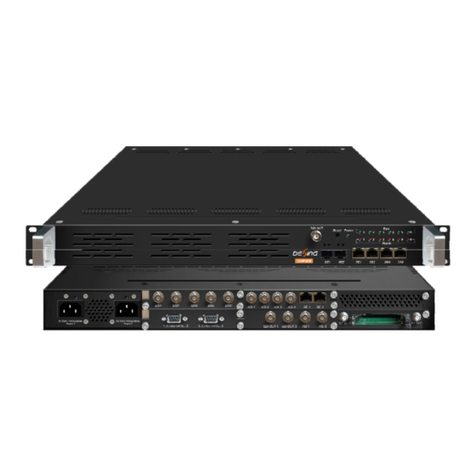 Dexing DHP400 user manual
