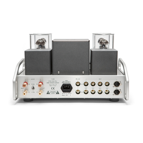 ALLNIC AUDIO 25th Anniversary T-2000 User manual
