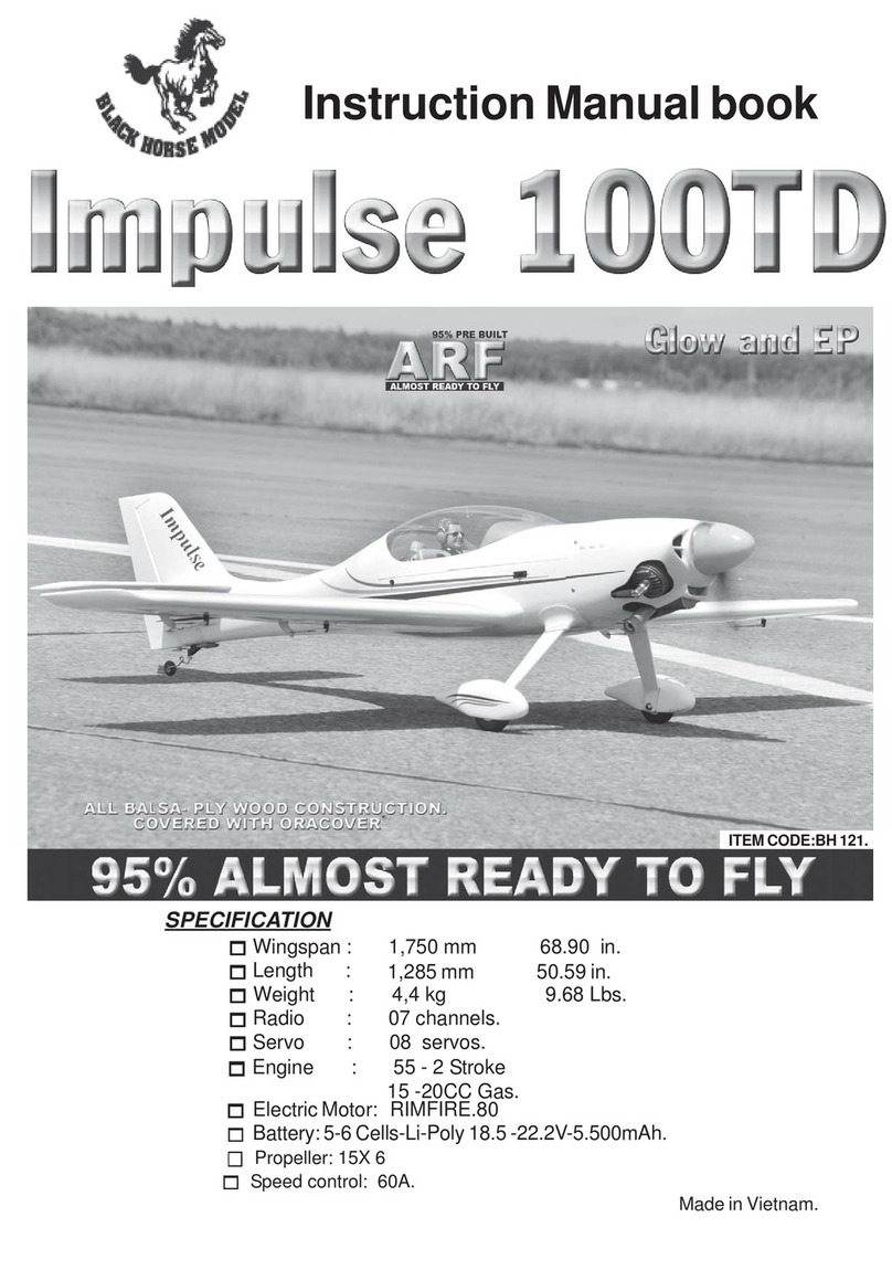 Black Horse Model Impulse 100TD instruction manual