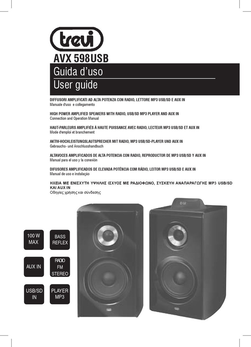 Trevi AVX 598USB user guide