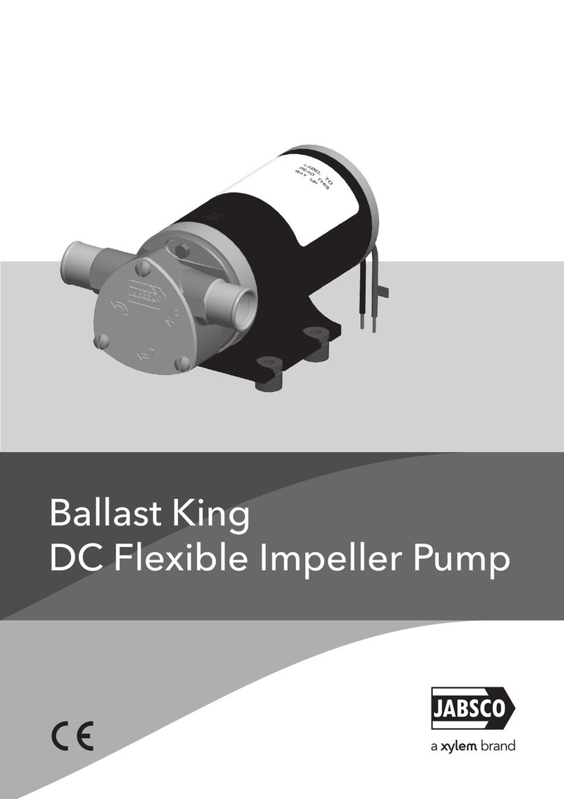 Xylem Jabsco Ballast King 22610-9007 User manual