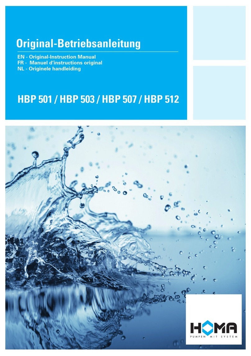 Homa HBP 501 User manual