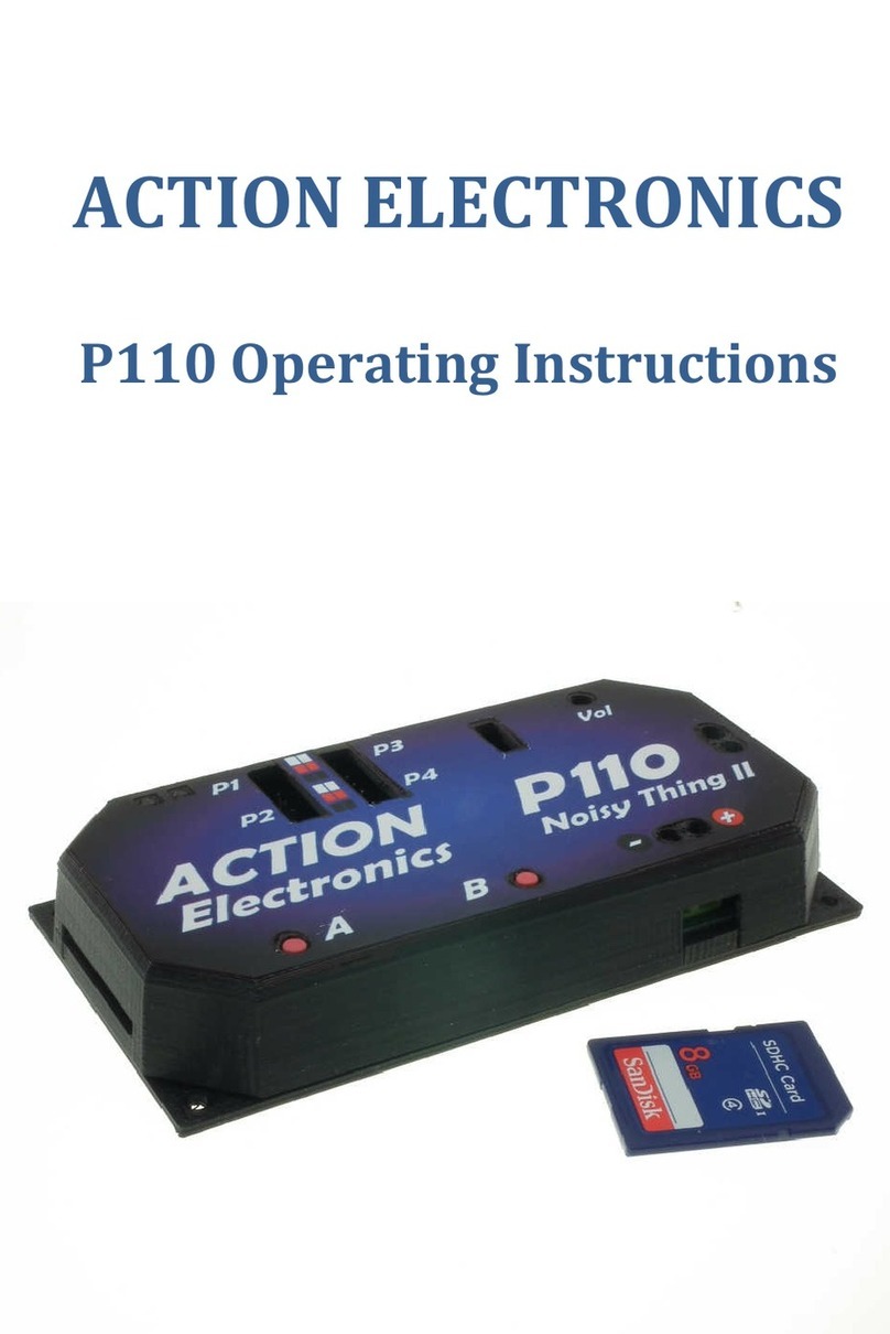 ACTION ELECTRONICS P110 operating instructions