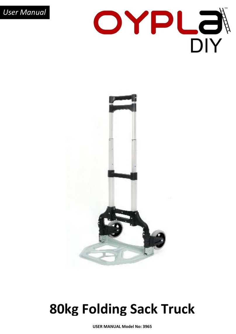 Oypla 3965 user manual