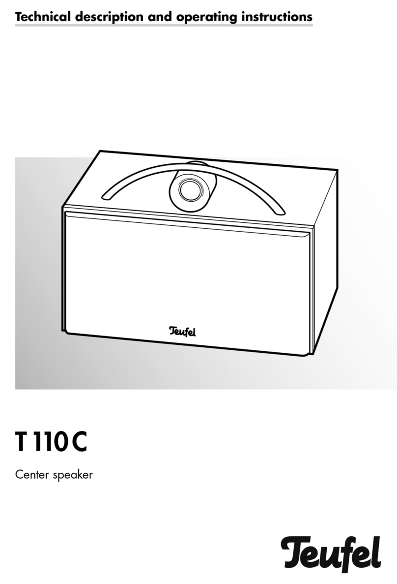 Teufel T 110 C Technical description and operating instructions