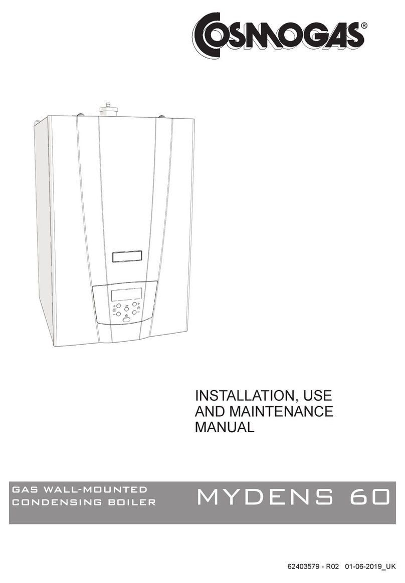 COSMOGAS MYDENS 60 Instructions for installation, use and maintenance manual