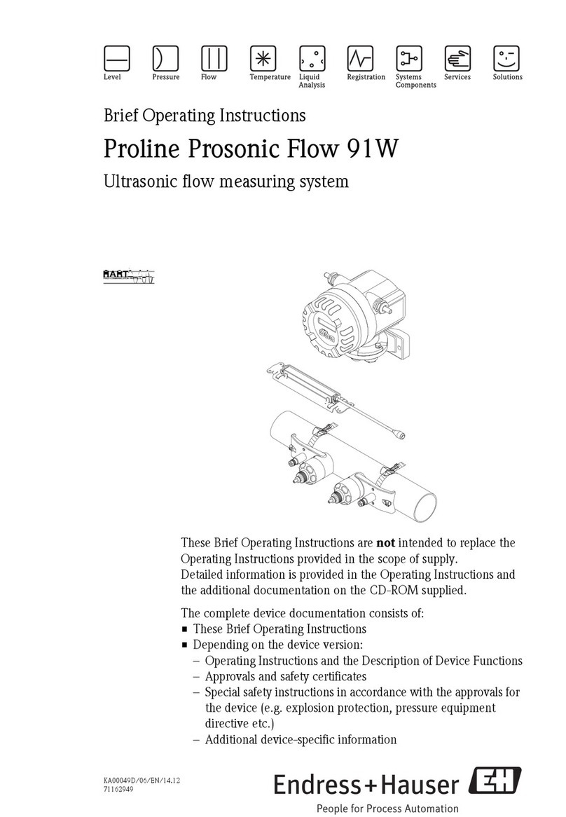 Endress+Hauser Proline Prosonic Flow 91W Technical specifications