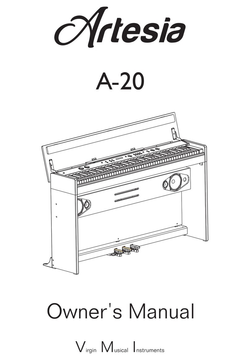 Artesia A-20 User manual Artesia A-20 User manual