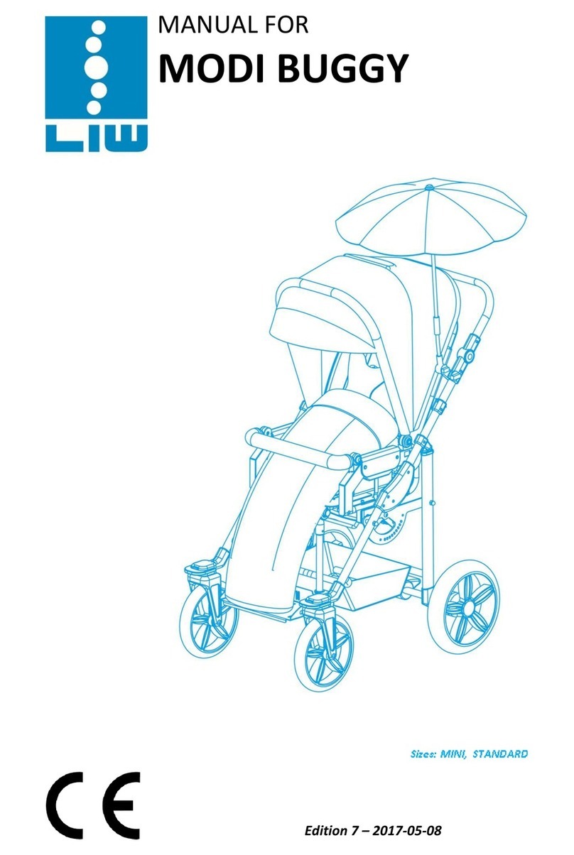 LIW Modi Buggy manual