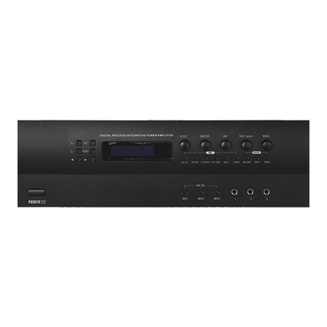 Digihertz Audio DA-TK250A user manual