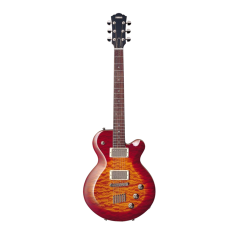 Yamaha AES920 Series User manual
