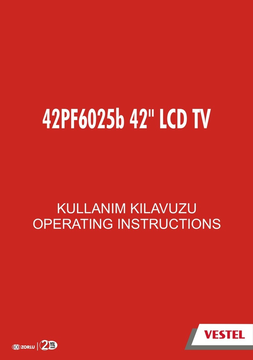 VESTEL 42PF6025b User manual