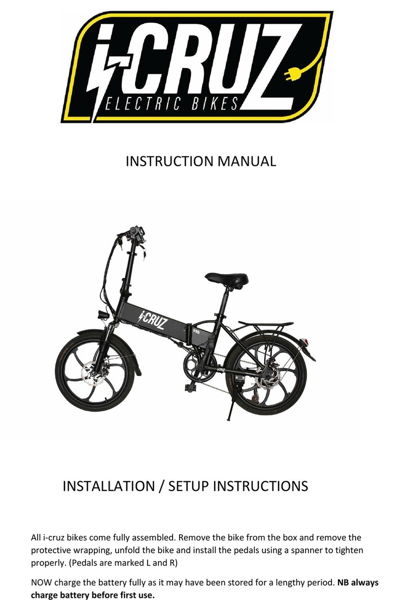 i-Cruz Pro instruction manual
