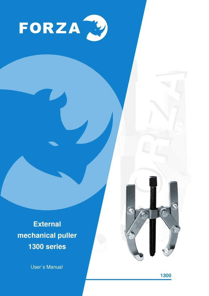 Forza 1300 Series user manual