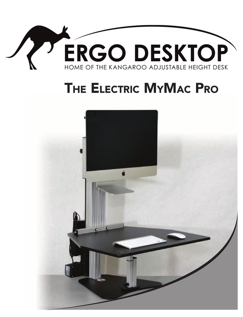Ergo Desktop The Electric MyMac Pro User manual
