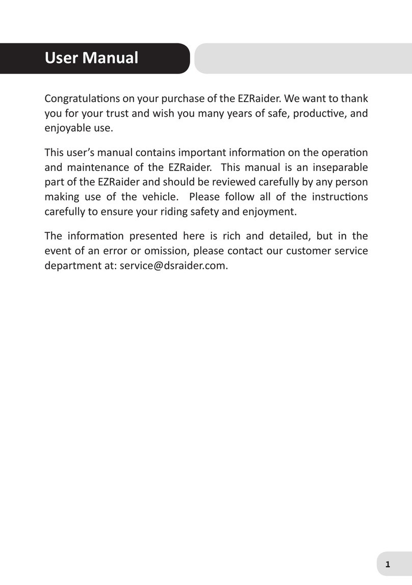 DSRaider EZRaider user manual