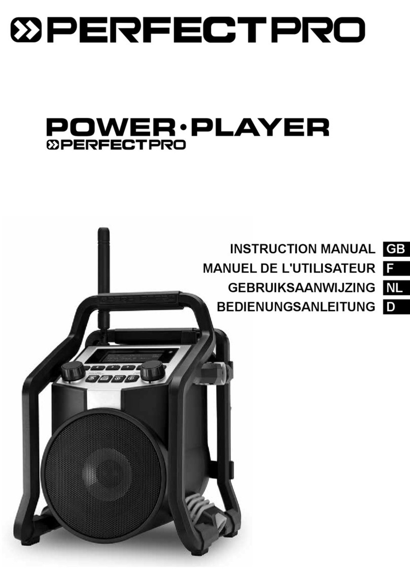 PERFECTPRO POWER PLAYER PP800L instruction manual